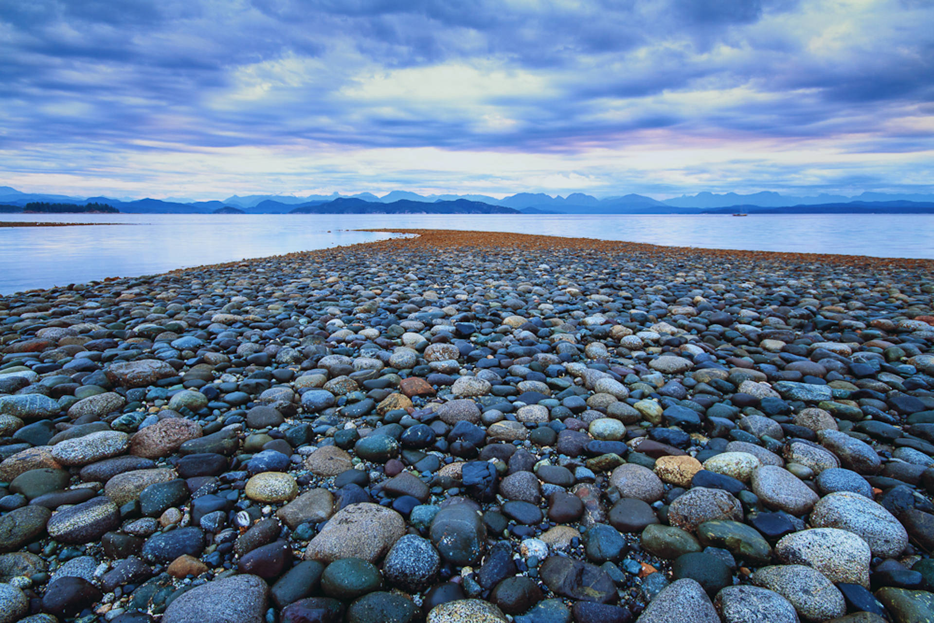 Who we are The Quadra Island Project Who we are The Quadra Island Project